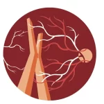 11º Congreso SPRV & 20º Foro GLADAOF: Evento de Retina