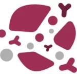 1º Simpósio de Imuno-hematologia e Hemoterapia (IMUNO 2026)